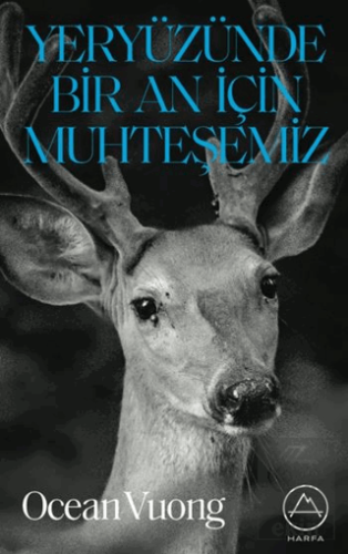 Yeryüzünde Bir An İçin Muhteşemiz