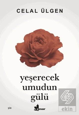 Yeşerecek Umudun Gülü