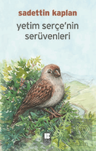 Yetim Serçe\'nin Serüvenleri