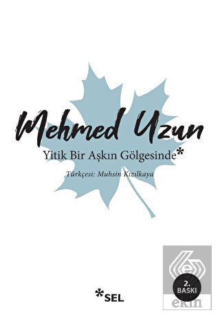 Yitik Bir Aşkın Gölgesinde