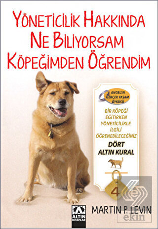 Yöneticilik Hakkında Ne Biliyorsam Köpeğimden Öğre