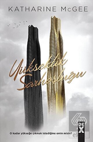 Yükseklik Sarhoşluğu