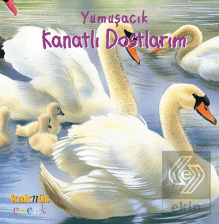 Yumuşacık Kanatlı Dostlarım