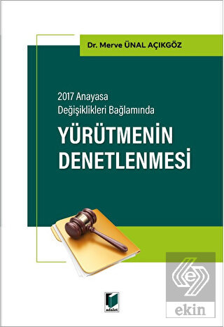 Yürütmenin Denetlenmesi