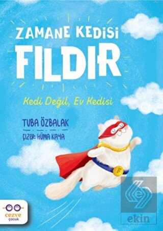 Zamane Kedisi Fıldır - Kedi Değil, Ev Kedisi