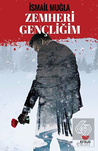 Zemheri Gençliğim