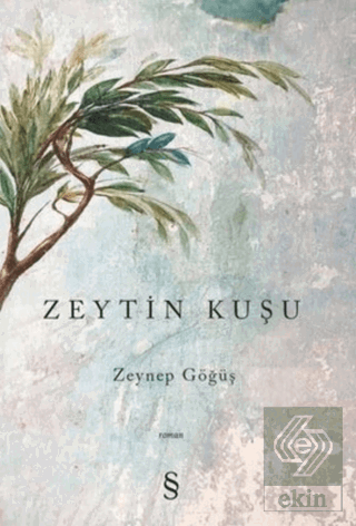 Zeytin Kuşu