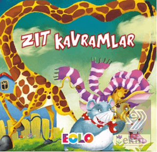 Zıt Kavramlar