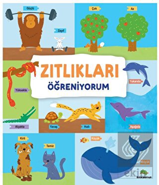 Zıtlıkları Öğreniyorum