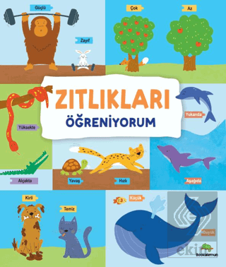 Zıtlıkları Öğreniyorum