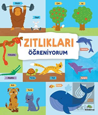 Zıtlıkları Öğreniyorum
