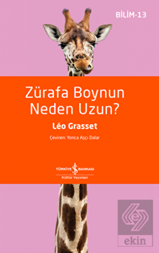 Zürafa Boynun Neden Uzun?